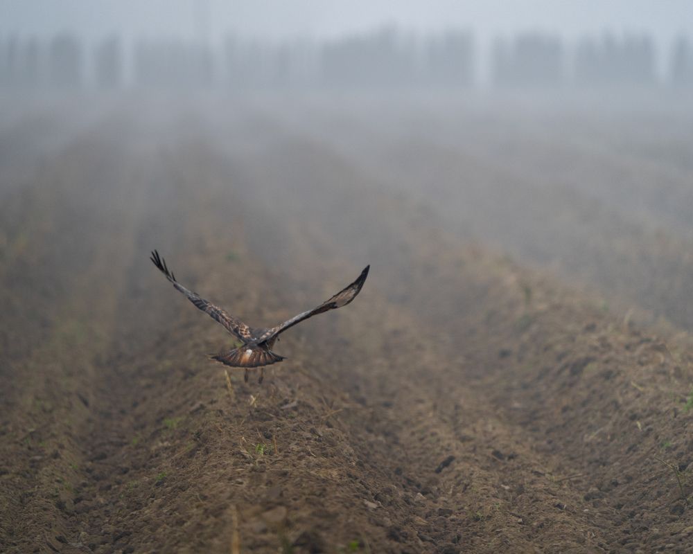 Photograph by Роман Данильчик