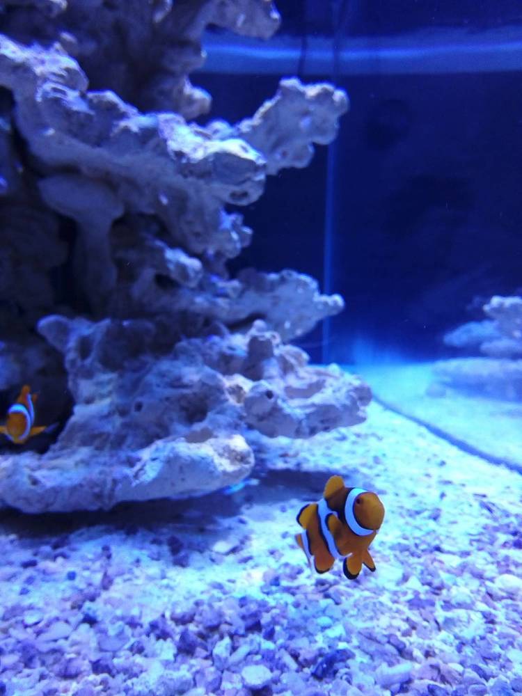 Photograph by Людмила Ковалева