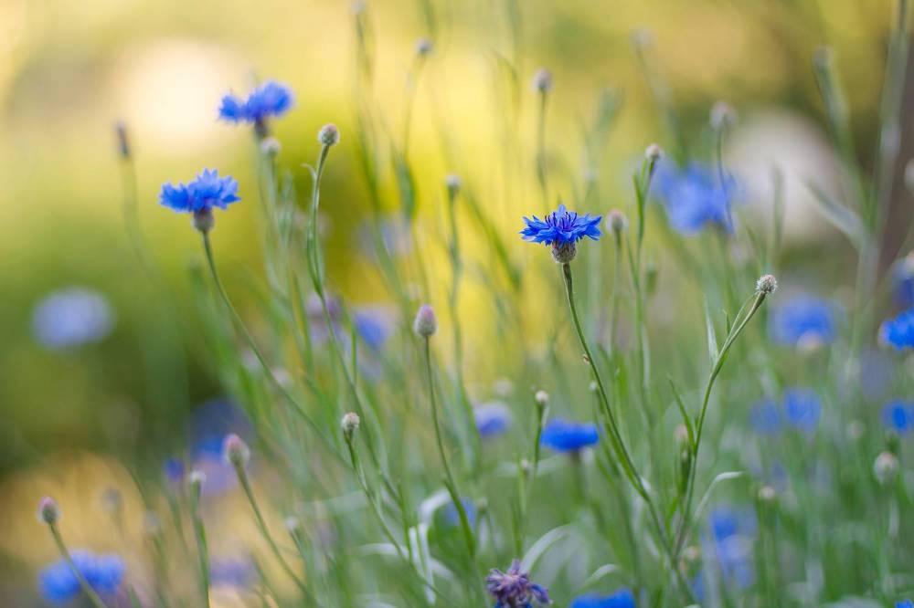 Photograph by Андрей Уколов