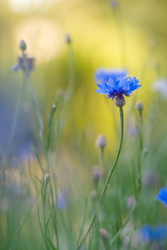 Photograph by Андрей Уколов