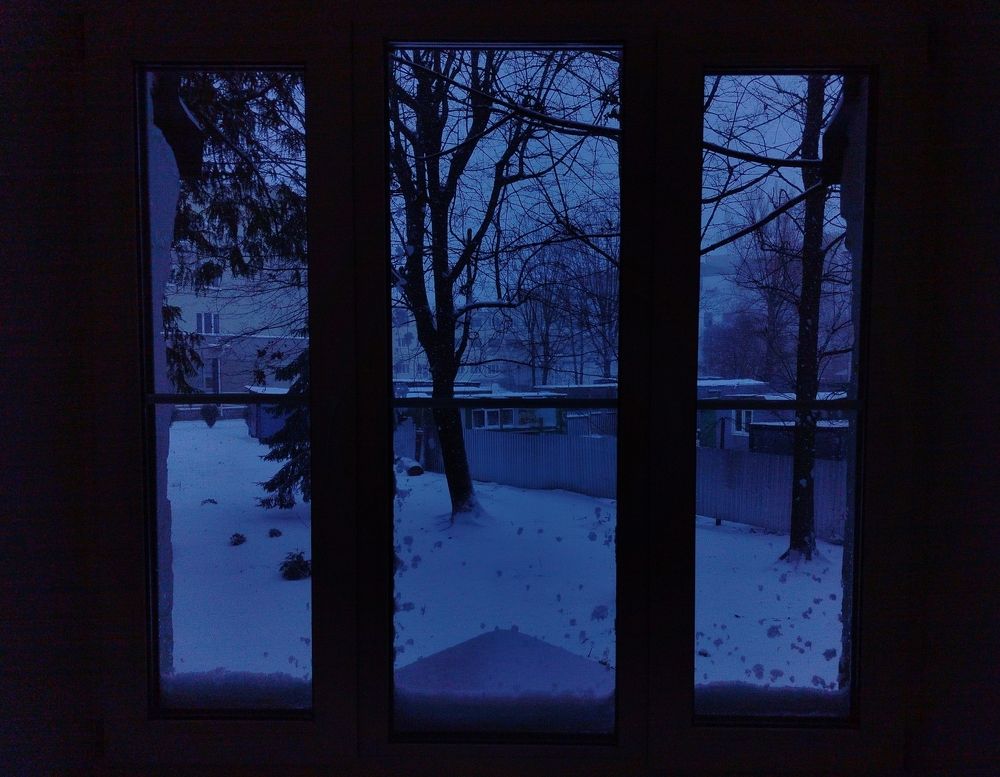 Фотография автора Алина Фирсова