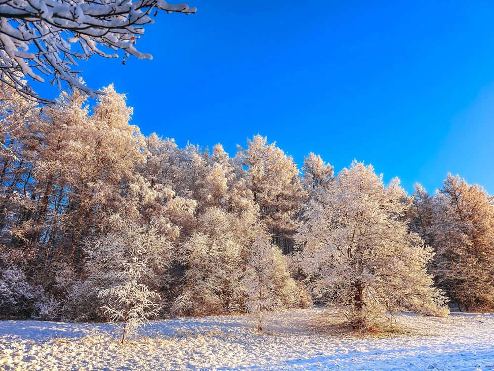 Photograph by Chic.chiquitita