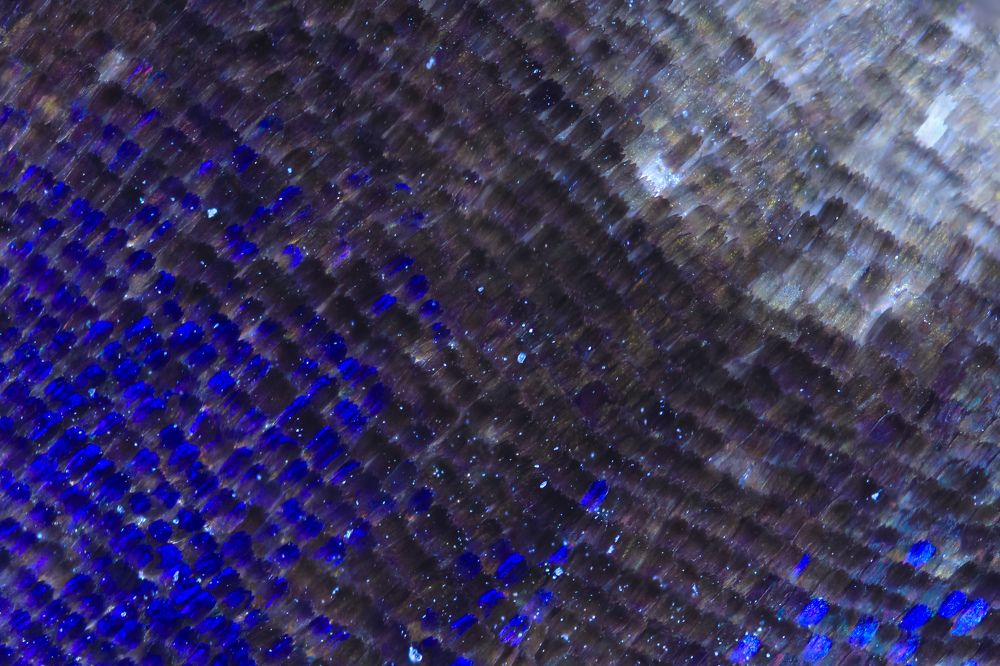 Photograph by Владимир Борозенец