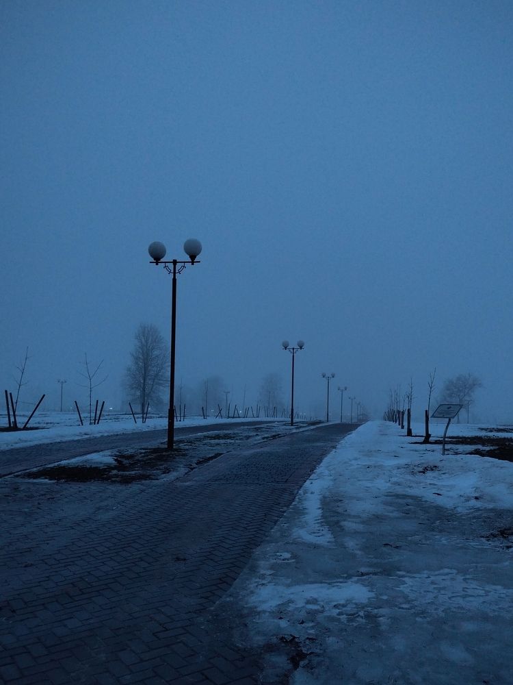 Фотография автора Алина Фирсова