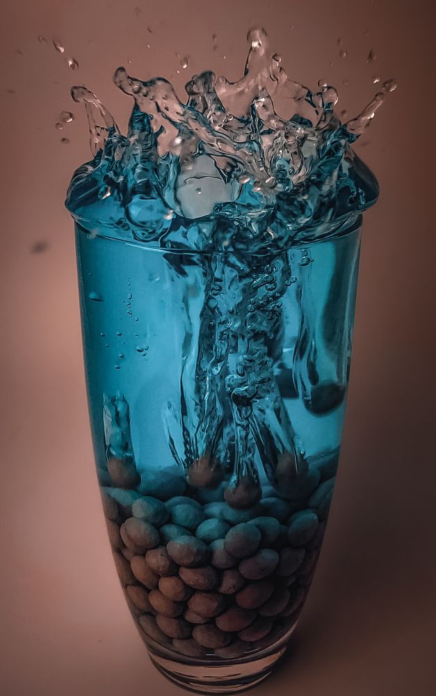 Photograph by Anya Lo