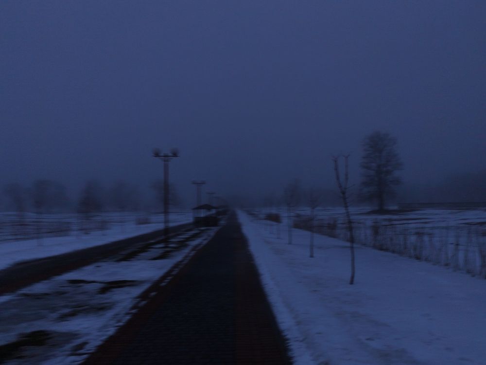 Фотография автора Алина Фирсова