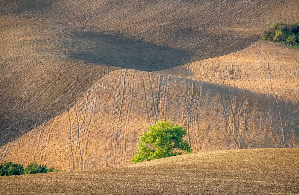 Photograph by ПАВЕЛ