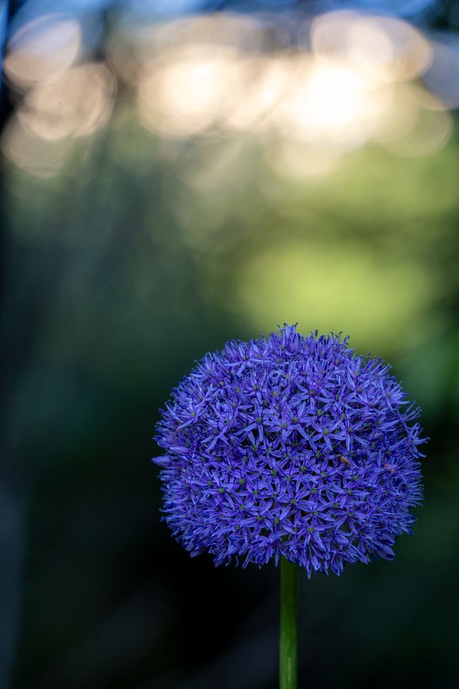 Photograph by Anton Leonchikov