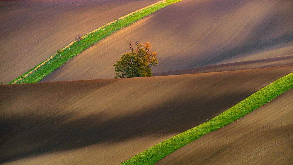 Photograph by ПАВЕЛ