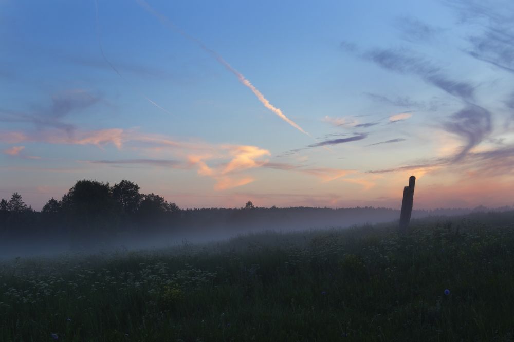 Photograph by Елена Коврижных