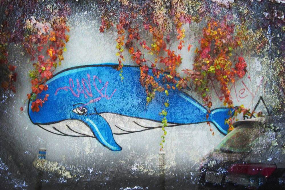 Photograph by Ольга Заповедная