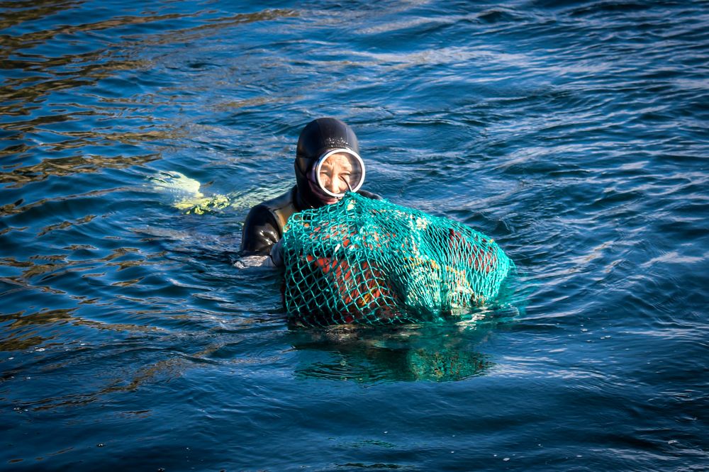 Photograph by Ivan Schaievitch