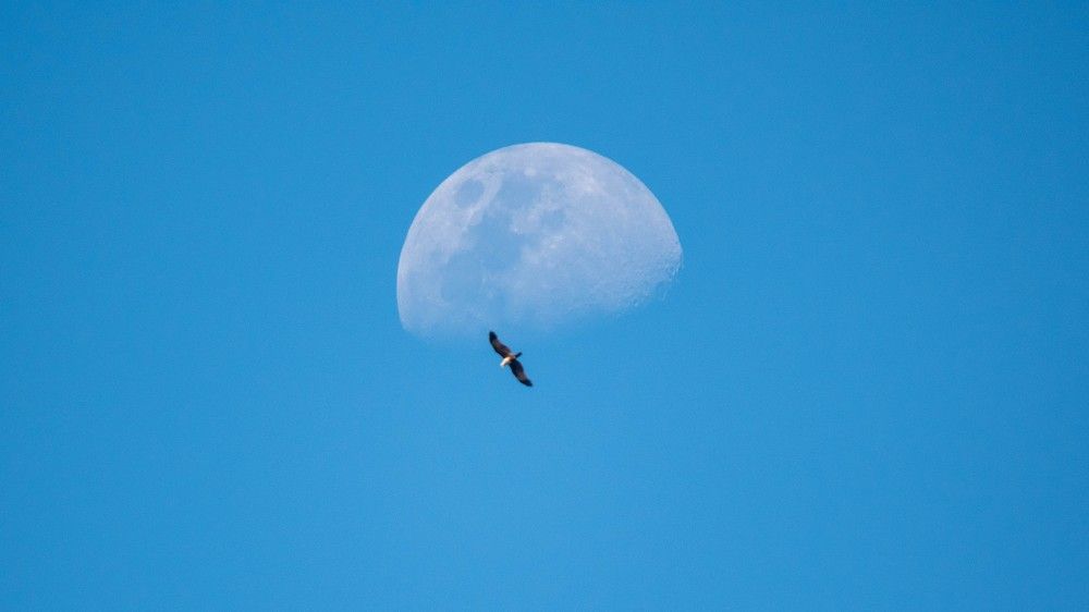 Photograph by Faisal Fasaludeen
