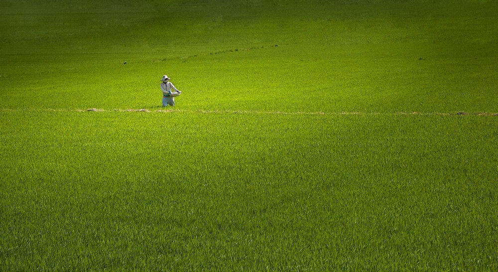 Photograph by Boris Bekelman