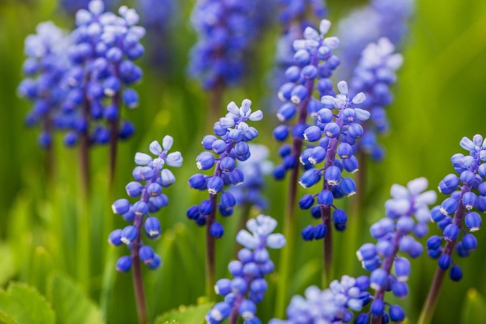 Photograph by Елена