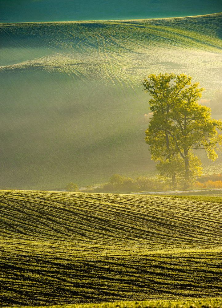 Photograph by ПАВЕЛ