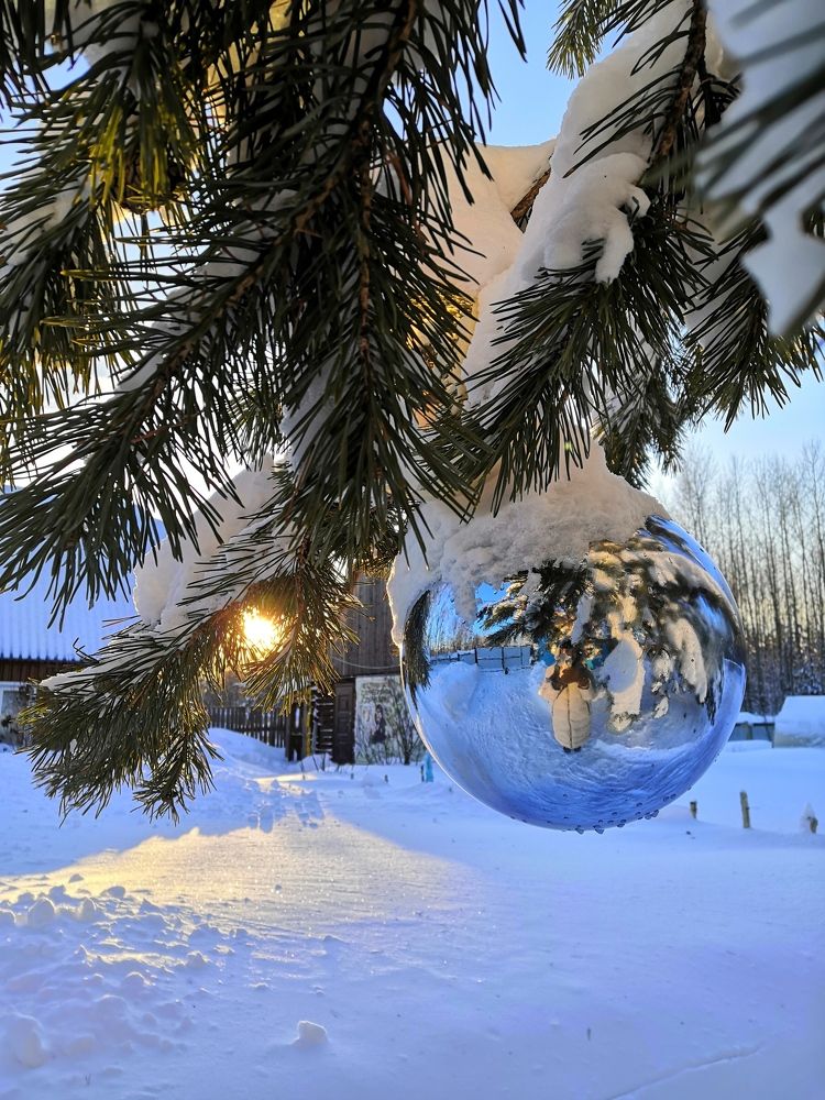 Фотография автора Оксана Радзиевская