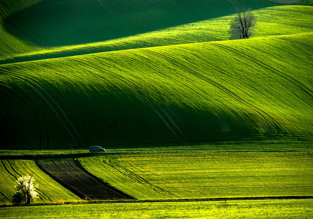 Photograph by ПАВЕЛ