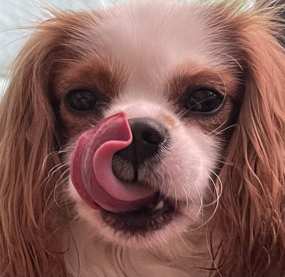 Photograph by Теодора Милекич