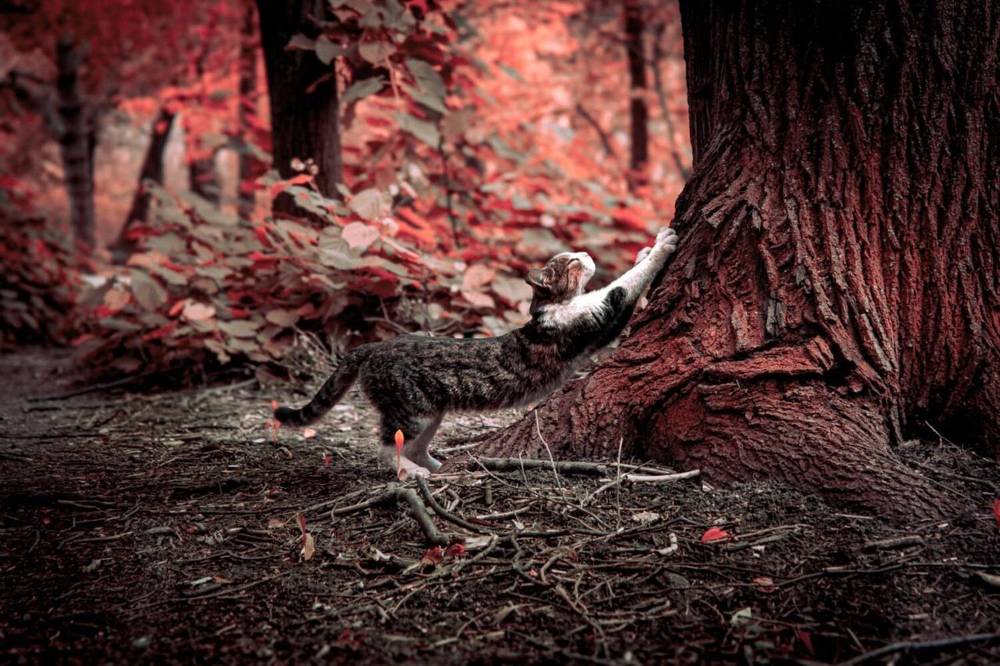 Photograph by Дарья Зенченко