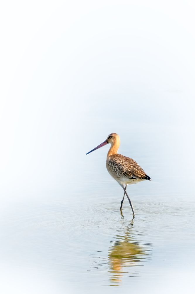 Photograph by Aleksandr Solovev