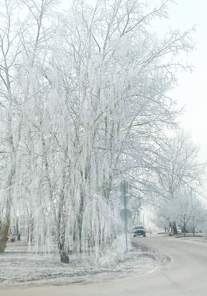 Photograph by Елена Никитина