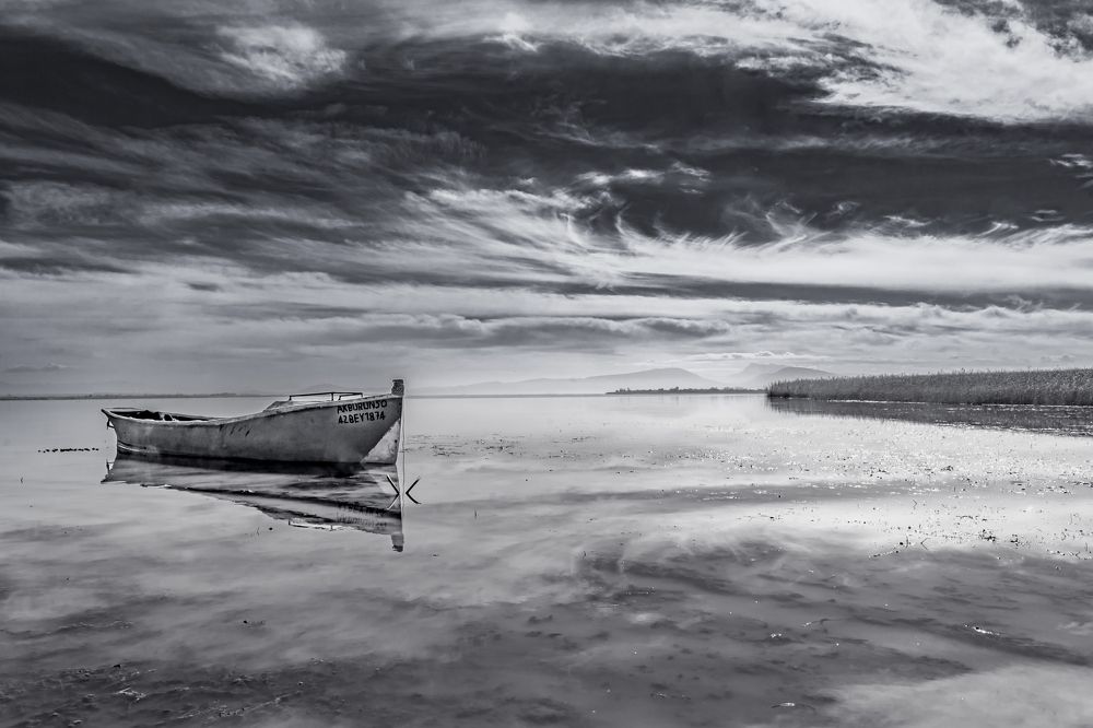 Фотография автора Андрей Жданов