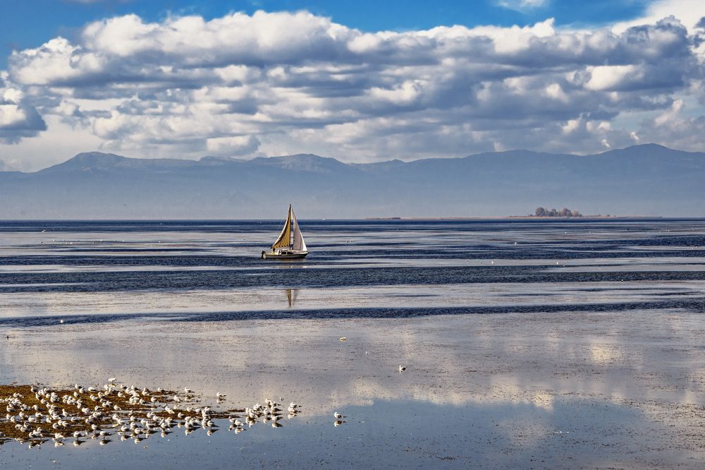 Фотография автора Андрей Жданов