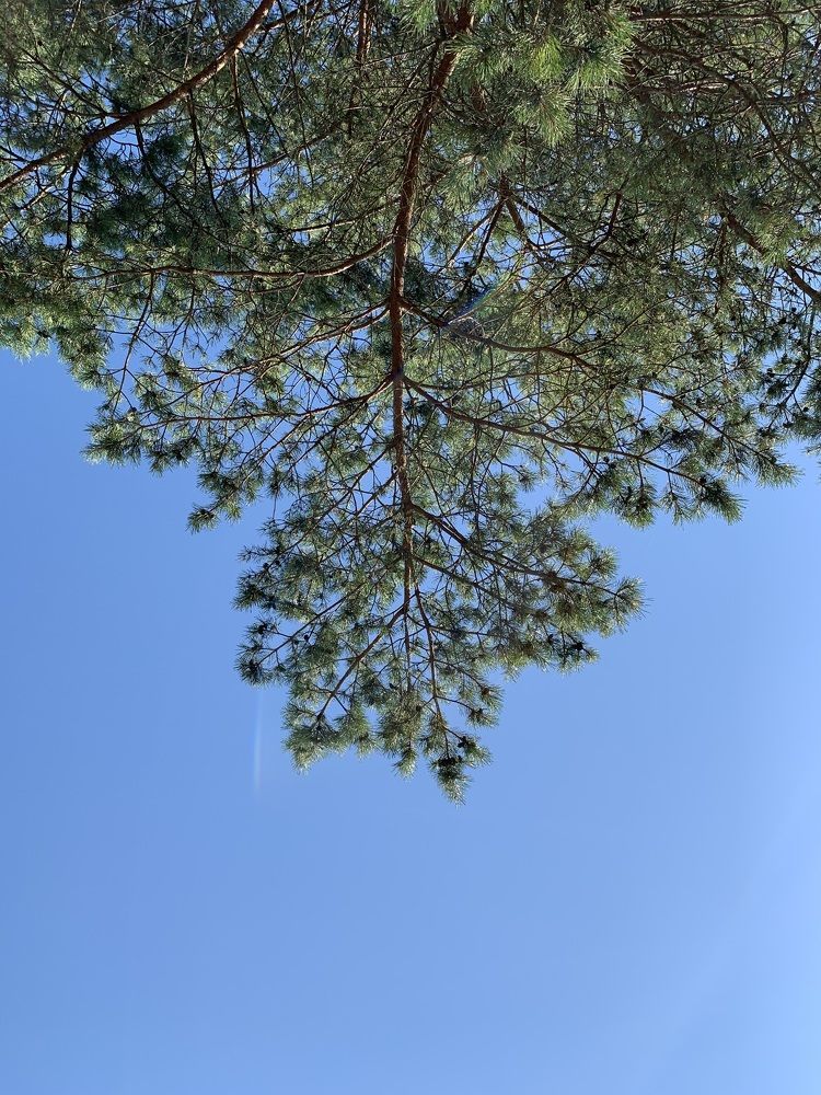 Photograph by Екатерина Балакина