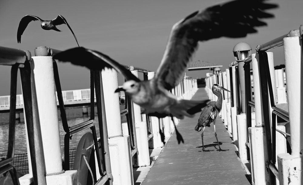 Photograph by Alejandro Mederos Bernia