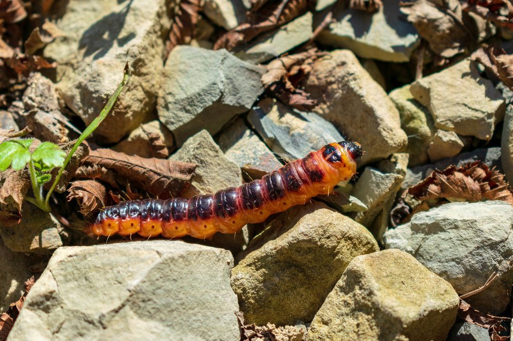 Photograph by Наталья Вялых