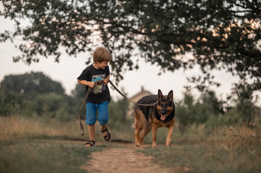 Photograph by Светлана Степашина