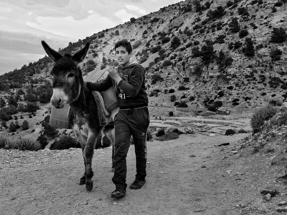 Photograph by Azzeddine Memmou