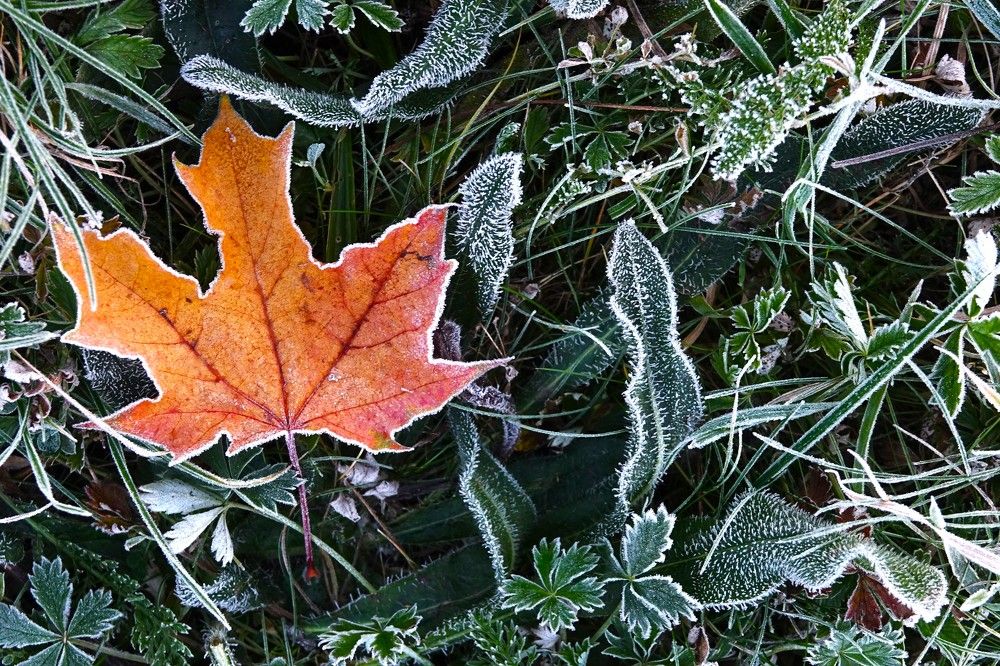 Photograph by jelena konickaja