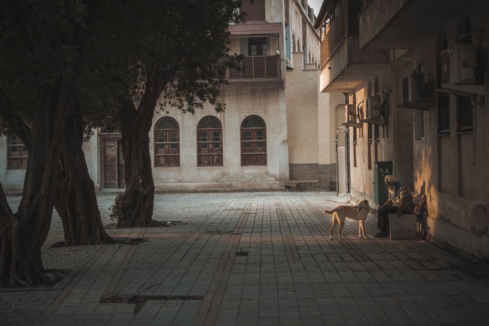 Photograph by Nasrin Navayi