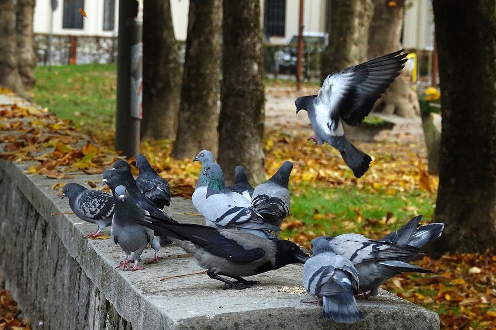 Photograph by jelena konickaja