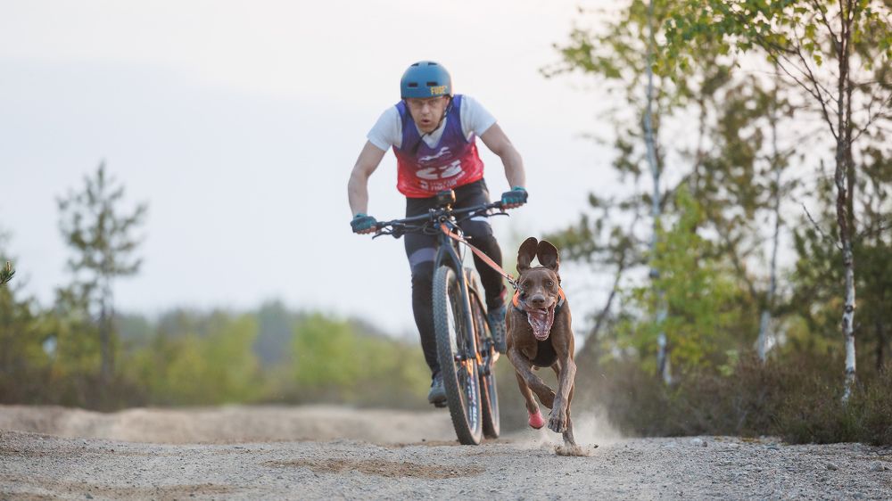 Photograph by Илья Юфа