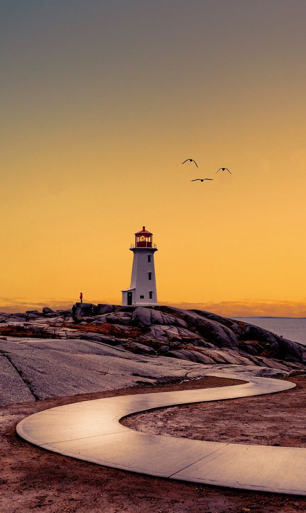 Photograph by Alex Korchanov