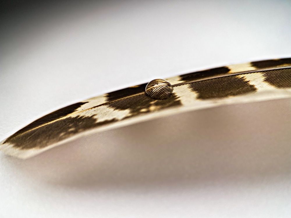 Photograph by Александра Гонтарь