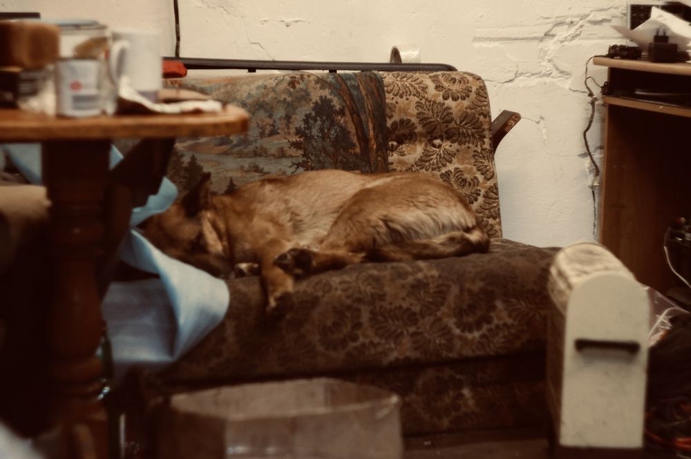 Photograph by Злата Тарасова