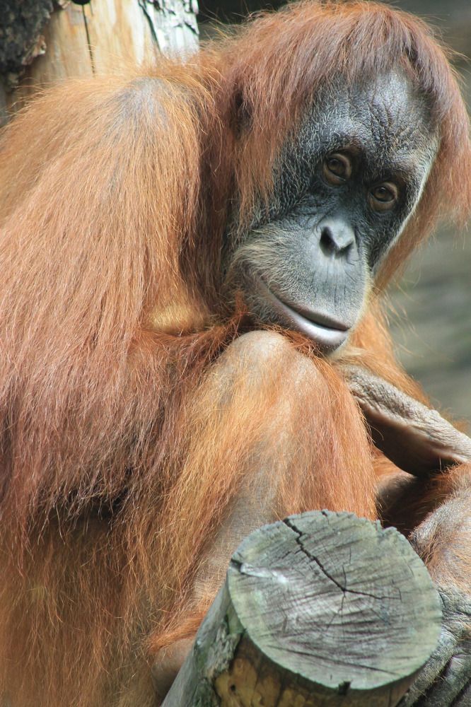 Photograph by Злата Тарасова