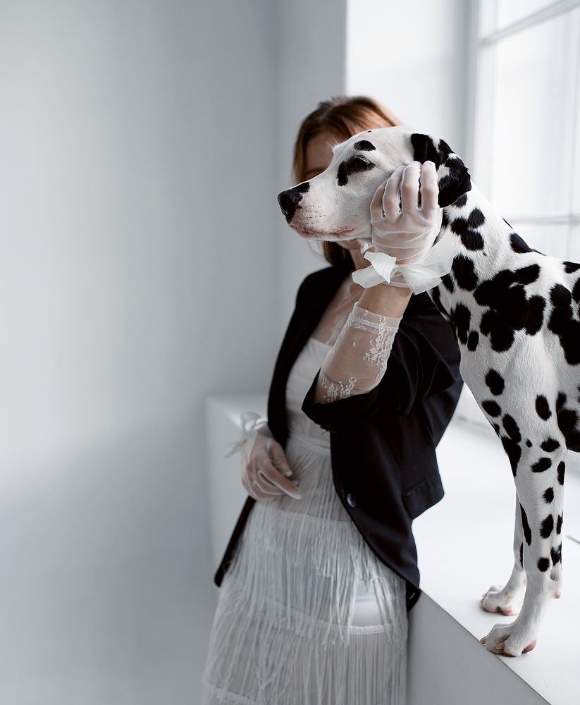 История Пятнышек