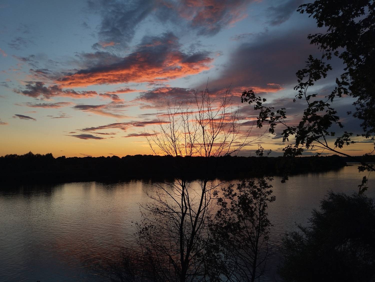 Photo #11360946