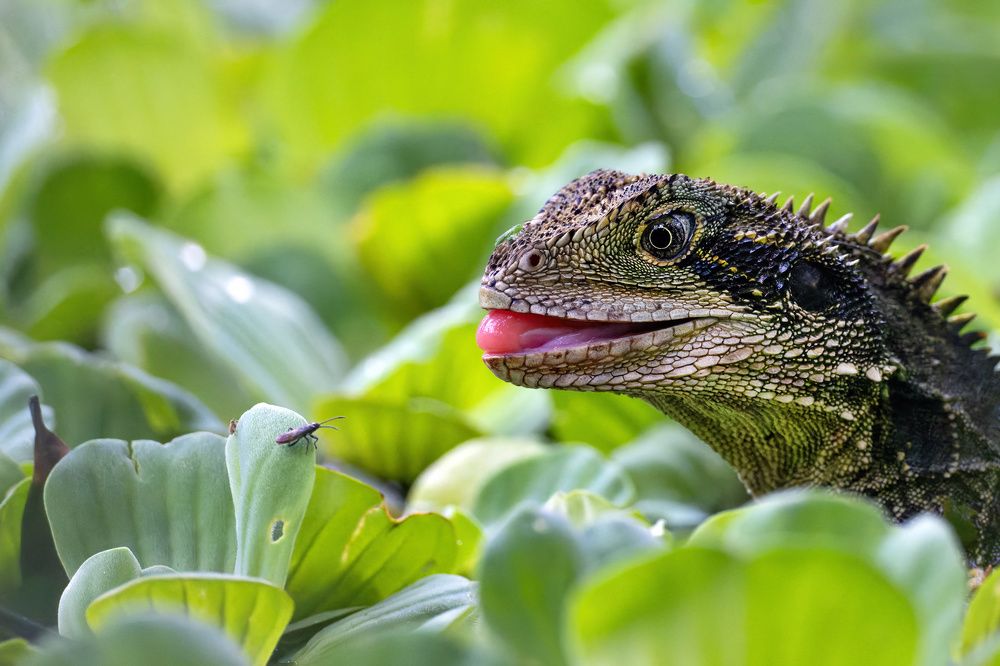 Photograph by Alexander Babych