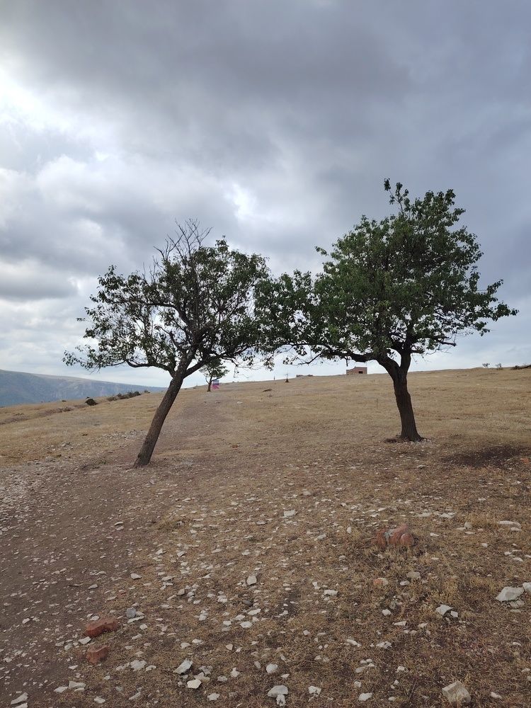 Photograph by Наталья