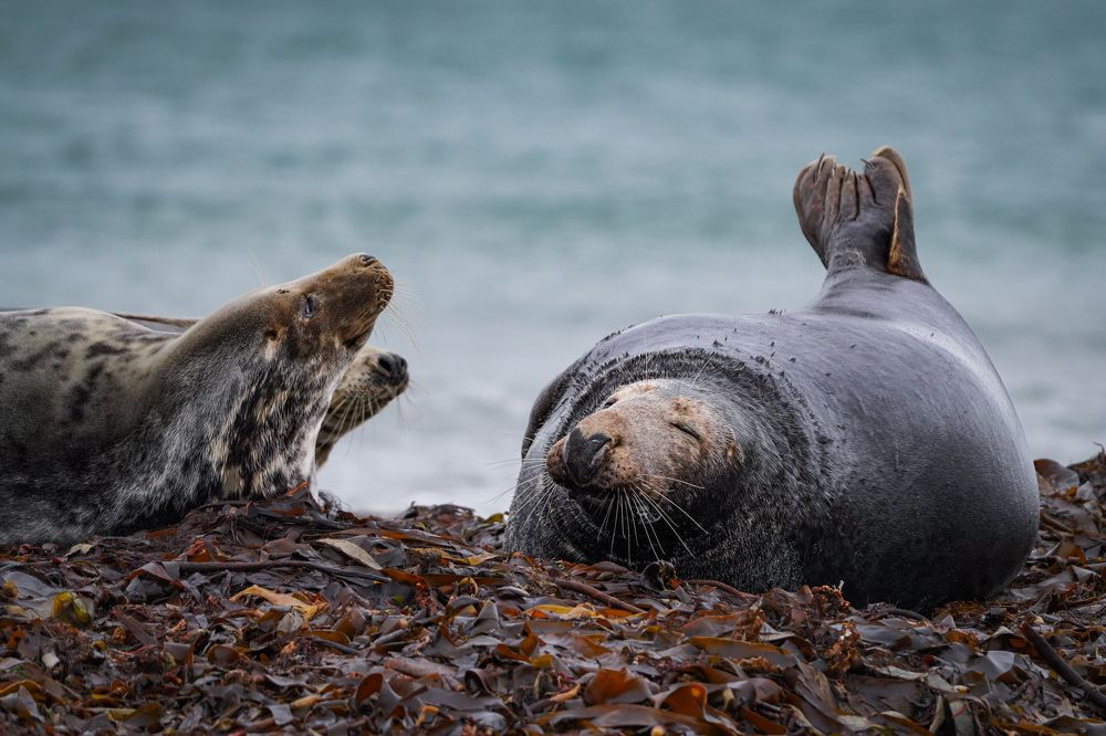 Фотография автора Оксана Дорн