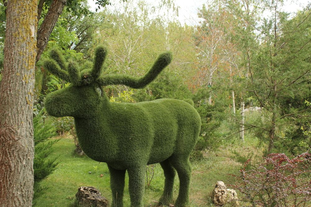 Photograph by Светлана Зотова