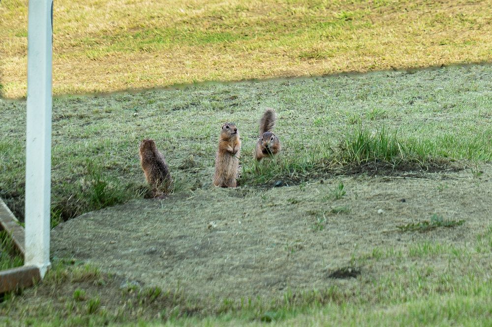 Photograph by Елена Николайчук