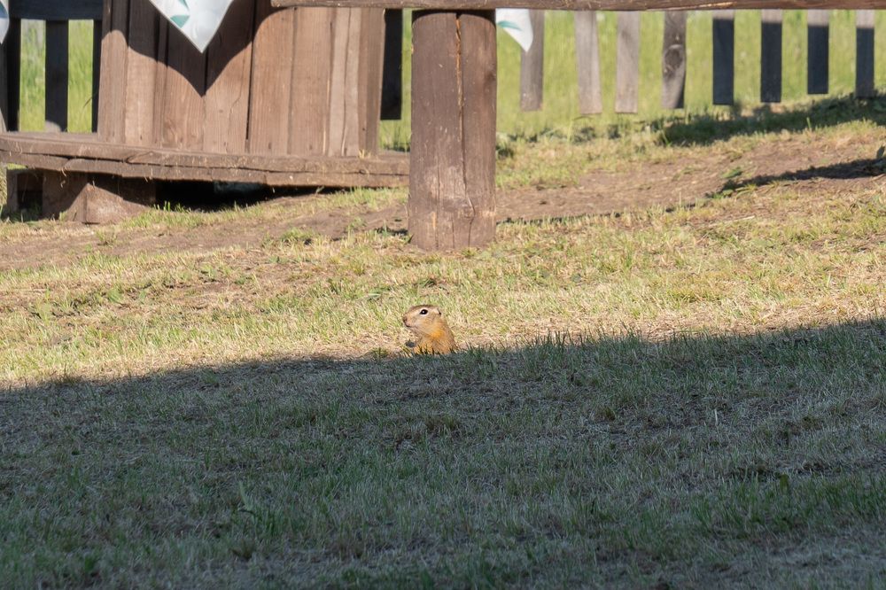 Photograph by Елена Николайчук