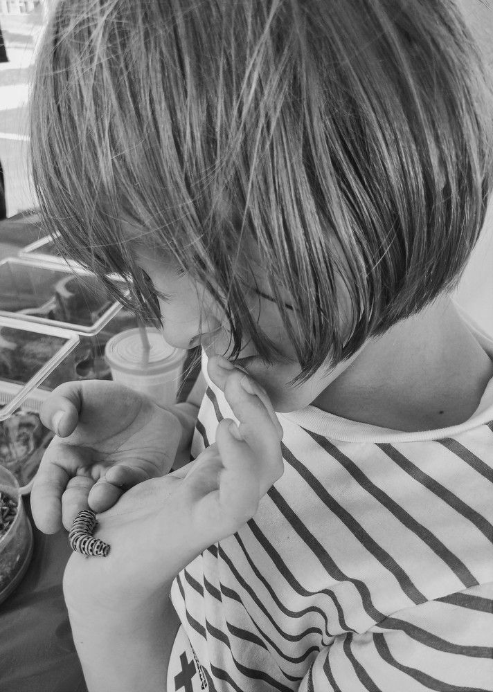 Photograph by Зинаида Кокарева